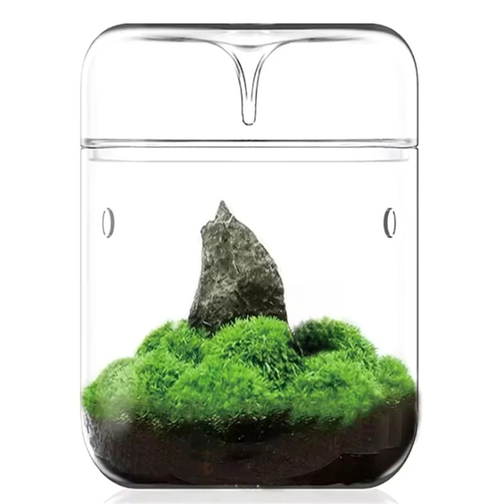 Szklany mikro-terarium na biur – Home Office With View recenzja i cena